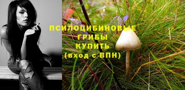 каннабис Белокуриха