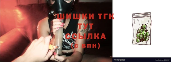 соль ск Богданович