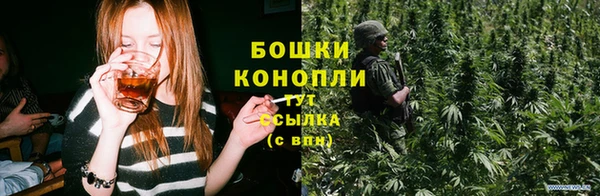 первитин Богородицк