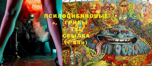 ГАЛЛЮЦИНОГЕННЫЕ ГРИБЫ Богородск