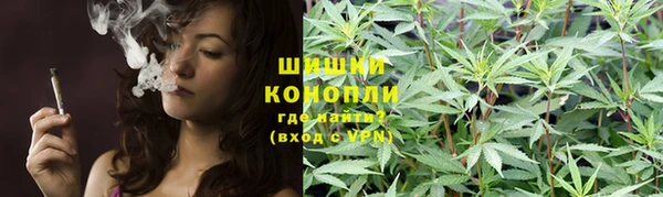 первитин Богородицк