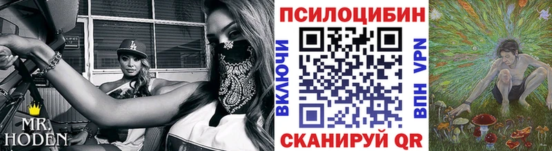 Галлюциногенные грибы GOLDEN TEACHER Богданович